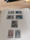 Delcampe - France 1960-1977 Complete MNH In SAFE - Collections (with Albums)