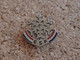 NO PINS BROCHE ESF SKI FRANCAIS 1ER FLOCON SIGNE FOURNIER - Winter Sports