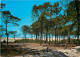 33 - Carcans - Maubuisson - La Forêt Au Pied Des Dunes De La Côte Atlantique - CPM - Voir Scans Recto-Verso - Carcans