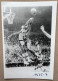 BASKETBALL - BILL RUSSELL - Boston Celtics - 15 X 10 Cm. (REPRO PHOTO ! - Zie Beschrijving - Voir Description) ! - Sports