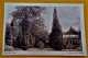 SINT-NIKLAAS  - 4 KAARTEN : Présentation Notre-Dame  - Park En Panorama, Zicht Op Het Park , Ingang Van Het Park, Serre - Sint-Niklaas