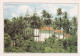 Brésil Recife Le Parc De Guarapes Et L'Eglise - Recife