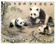 Panda Animal   Puzzle 6 Télécartes Chine Phonecard (P 72) - Chine