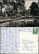 Ansichtskarte Großschönau (Sachsen) Kulturpark 1962 - Grossschoenau (Sachsen)