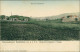 Ansichtskarte Schellerhau-Altenberg (Erzgebirge) Blick Nach Oberkipsdorf 1908  - Schellerhau