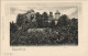 Ansichtskarte Elgersburg Schloss Elgersburg 1901 Passepartout - Elgersburg