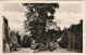 Ansichtskarte Kempten (Allgäu) Park ähnliche Partie A.d. Burghalde 1940 - Kempten