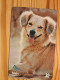 Phonecard Brazil, Telesc - Dog - Brasile