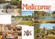 72-MALICORNE SUR SARTHE-N°C-4332-B/0059 - Malicorne Sur Sarthe