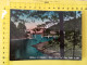 CT-05863- BELLEZZE DI CALABRIA - SILA - PONTE SUL LAGO CICITA M.1180 - VIAGGIATA 1956 - Andere & Zonder Classificatie