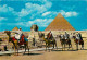 Egypte - Gizeh - Giza - The Great Sphinx Of Giza And Pyramids - Chamelier - Chameaux - Voir Timbre - CPM - Voir Scans Re - Gizeh