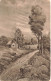 FLEURS, PLANTES & ARBRES - Arbres - Maisons - Un Paysage - Carte Postale Ancienne - Trees