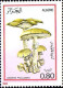 Algérie (Rep) Poste N** Yv: 787/790 Champignons - Algérie (1962-...)