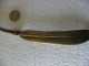 Delcampe - Antique Ouvre-lettre En Bronze Griffe Et Plume - Brieföffner