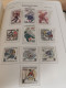 Delcampe - Czechoslovakia 1964-75 MNH In Leuchtturm Album - Collections (with Albums)