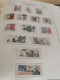 Delcampe - Czechoslovakia 1976-81 MNH In Leuchtturm Album - Collections (en Albums)