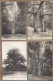 LOT 20 CPA ARBRES - NATURE - TB GROS PLAN ARBRE REMARQUABLE Nommés Dont Chêne - Árboles