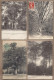 LOT 20 CPA ARBRES - NATURE - TB GROS PLAN ARBRE REMARQUABLE Nommés Dont Chêne - Árboles