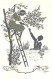 F.Kaskeline:Lady On Ladder And Tree Giving Berries To Man, Pre 1924 - Scherenschnitt - Silhouette