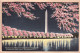 23890 / ⭐ Look! NY WOOLWORTH BUIDING NEW YORK Higher 3 Post Cards In ONE 1910s Publisher: SOUVENIR FOLDING CARD 775 - Otros Monumentos Y Edificios