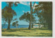 WESTERN AUSTRALIA WA Rivermouth Caravan Park Near DENMARK Emu Den3 Postcard C1970s - Sonstige & Ohne Zuordnung