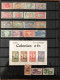 Delcampe - Colonies Françaises - Lot Collection En Un Classeur, Qq Pages Volantes Et 16 Pochettes - 48 Photos à Voir - Verzamelingen