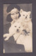 Carte Photo Guggenberger Mairovits Sibiu Romania Roumanie Princess Ileana Avec Deux Chiens  (58654) - Romania