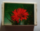 FLOWER,TABRIZ FACTORY-IRAN,matchbox - Matchboxes