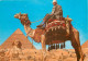 Egypte - Gizeh - Giza - Camel Driver Near The Sphinx And Khafre Pyramid - Chamelier - Chameaux - Voir Timbre - CPM - Voi - Gizeh