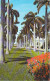 Delcampe - Bon Lot De 100 CPSM Colorisées FLORIDE (USA) Format CPA (80 % 1930-40's, Puis 1920's Et 10 GF 1980's) 0.15 € / Carte - 100 - 499 Cartes