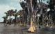 Delcampe - Bon Lot De 100 CPSM Colorisées FLORIDE (USA) Format CPA (80 % 1930-40's, Puis 1920's Et 10 GF 1980's) 0.15 € / Carte - 100 - 499 Postales