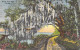 Delcampe - Bon Lot De 100 CPSM Colorisées FLORIDE (USA) Format CPA (80 % 1930-40's, Puis 1920's Et 10 GF 1980's) 0.15 € / Carte - 100 - 499 Postcards