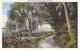Delcampe - Bon Lot De 100 CPSM Colorisées FLORIDE (USA) Format CPA (80 % 1930-40's, Puis 1920's Et 10 GF 1980's) 0.15 € / Carte - 100 - 499 Cartes