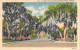Delcampe - Bon Lot De 100 CPSM Colorisées FLORIDE (USA) Format CPA (80 % 1930-40's, Puis 1920's Et 10 GF 1980's) 0.15 € / Carte - 100 - 499 Postales
