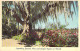 Delcampe - Bon Lot De 100 CPSM Colorisées FLORIDE (USA) Format CPA (80 % 1930-40's, Puis 1920's Et 10 GF 1980's) 0.15 € / Carte - 100 - 499 Postcards