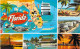 Delcampe - Bon Lot De 100 CPSM Colorisées FLORIDE (USA) Format CPA (80 % 1930-40's, Puis 1920's Et 10 GF 1980's) 0.15 € / Carte - 100 - 499 Postkaarten