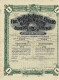 Titre De 1899 - The Buffelsdoorn Estate & Gold Mining Company Limited - Déco - - Mines