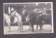 Carte Photo Julietta Romania Roumanie  Royalty Famille Royale à Cheval Le Roi Ferdinand 1er Prince Et Princesse  (58660) - Romania