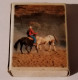 COWBOY,HORSES-MUSTANG-/CACTUS,Romania,matchbox - Matchboxes