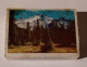 Mountain,forest,Romania,matchbox - Scatole Di Fiammiferi