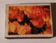 Flowers,Romania,matchbox - Matchboxes