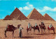 Egypte - Gizeh - Giza - Pyramids - Les Pyramides - Chamelier - Chameaux - Voir Timbre - CPM - Voir Scans Recto-Verso - Guiza