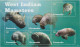 Grenada: Seekühe (Manatees)  Kleinbogen Und Block - Baleines