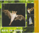 Liberia: Fledermäuse  Kleinbogen Und  Block - Bats
