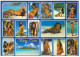 Delcampe - POLYNESIE Polynesia Lot De 19 Cartes Cpm-Femmes Filles Nue Nues Seins Nus Vahinés (voir Scan De TOUTES Les CARTES Tahiti - Polynésie Française