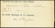 Lettre Formule De Déclaration Pour L'impôt Sur La Fortune Mobilière Du Prince Napoléon (1876 - Canton De Vaud - Suisse). - Andere & Zonder Classificatie