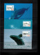 Groenland / Greenland 1998 Whales Maximum Cards - Cartas Máxima