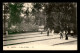 SPORTS - PETANQUE - LE JEUX DE BOULES A VITTEL - Petanque