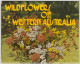WESTERN AUSTRALIA WA PITT Souvenirs Folder WILDFLOWERS 11 Postcard Views C1980s - Sonstige & Ohne Zuordnung