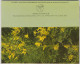 WESTERN AUSTRALIA WA PITT Souvenirs Folder WILDFLOWERS 11 Postcard Views C1980s - Other & Unclassified